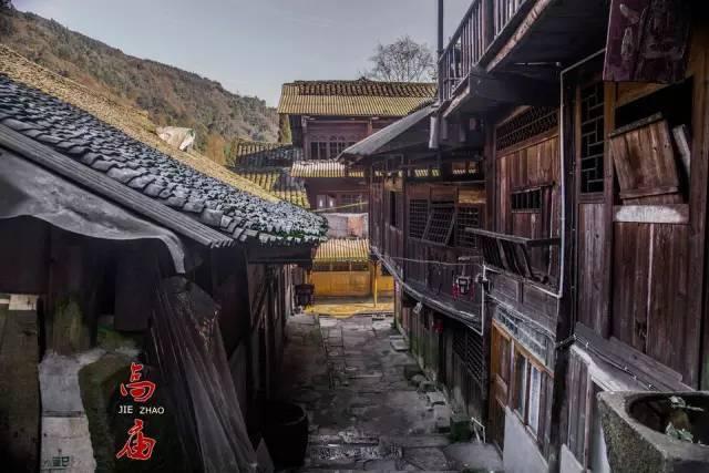 解疑答惑,全能宝可梦怀弗斯免费下载平台